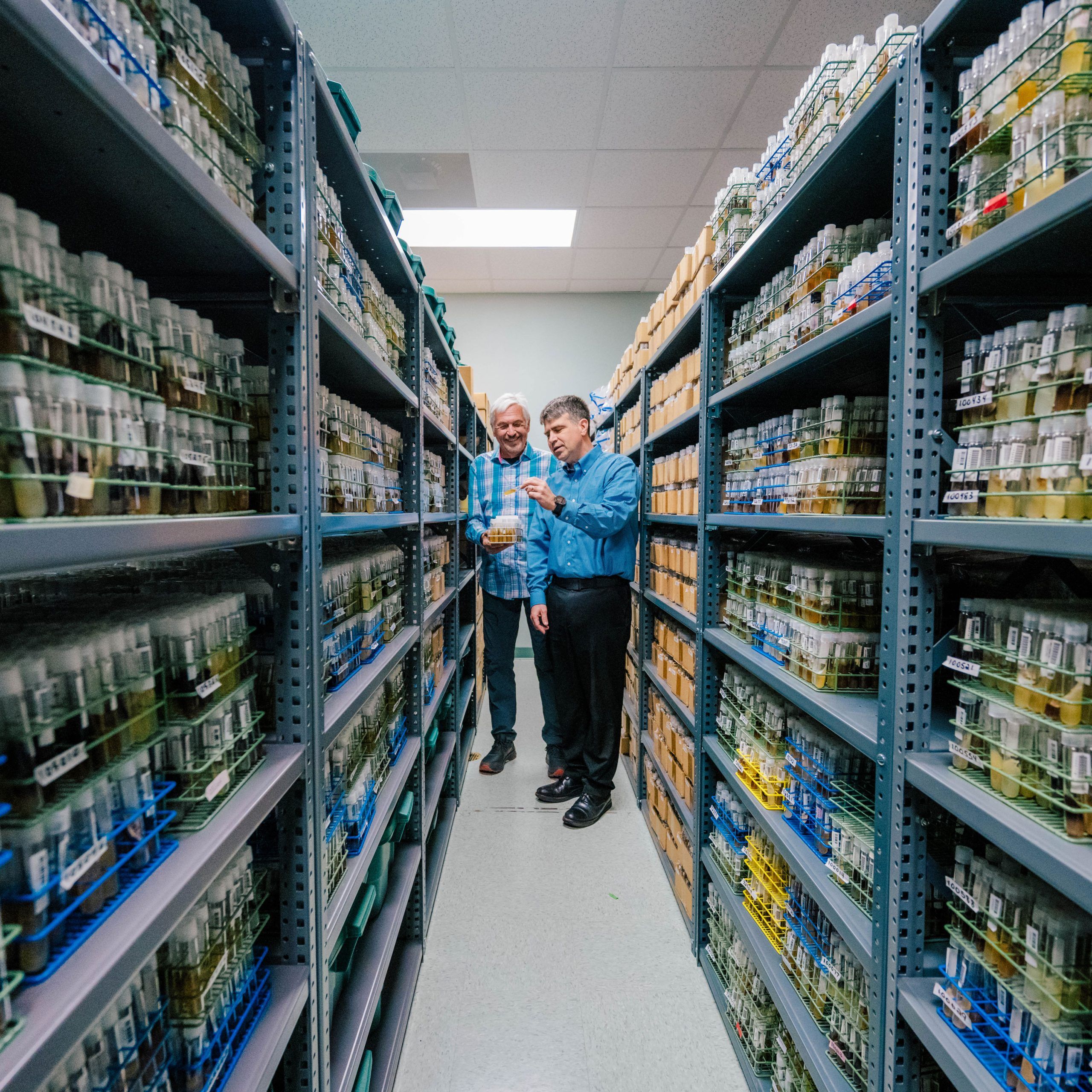 Dr. Oberlies and another person stand in a narrow aisle between tall metal shelves filled with hundreds of clear tubes containing plant samples. The tubes are organized in racks and boxes, with green and yellow vegetation visible inside. The setting appears to be a controlled storage or research facility with fluorescent lighting and a clean, orderly environment.