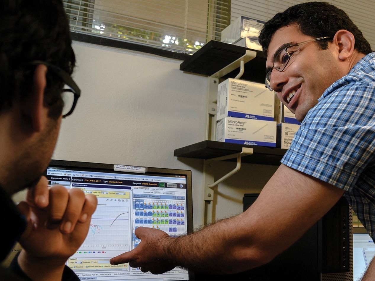 Esmaeil Amiri discussing data