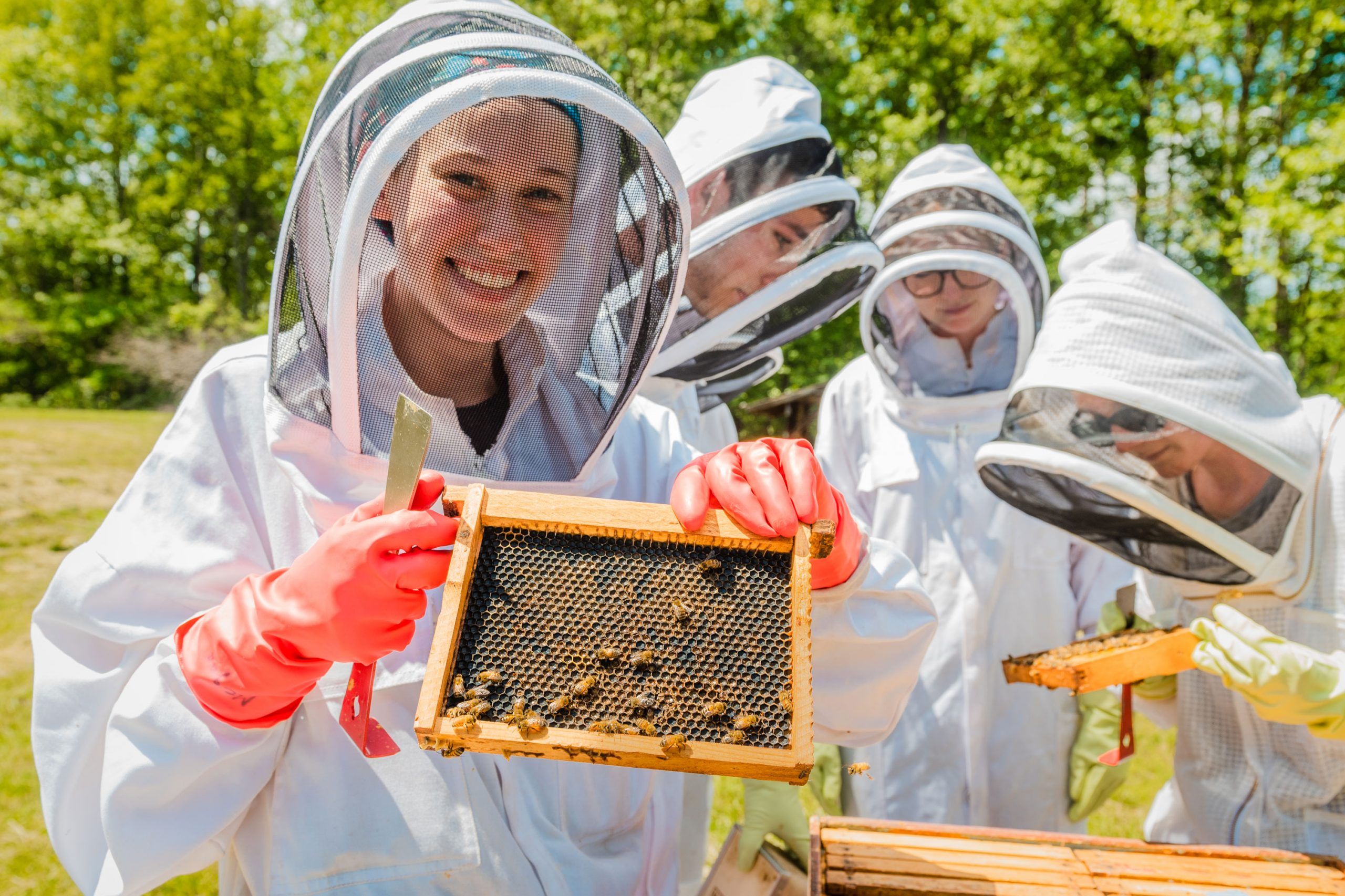 Dr. Kasie Raymann holding up part of a bee hive