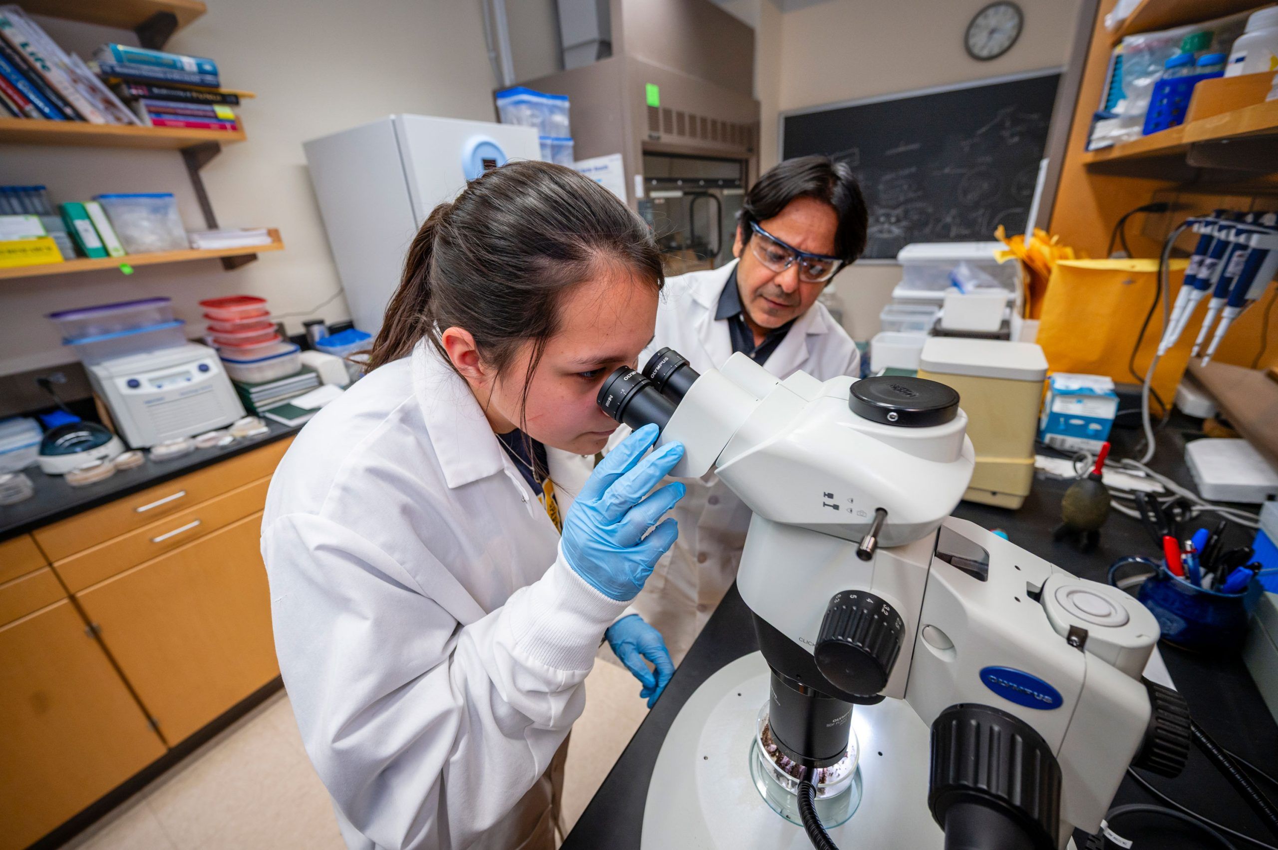 Dr. Raja and an undergraduate student in a laboratory wearing white coats and gloves, working with a stereo microscope on a black countertop. Surrounding equipment includes pipettes, stacked petri dishes, and lab supplies on shelves and counters.