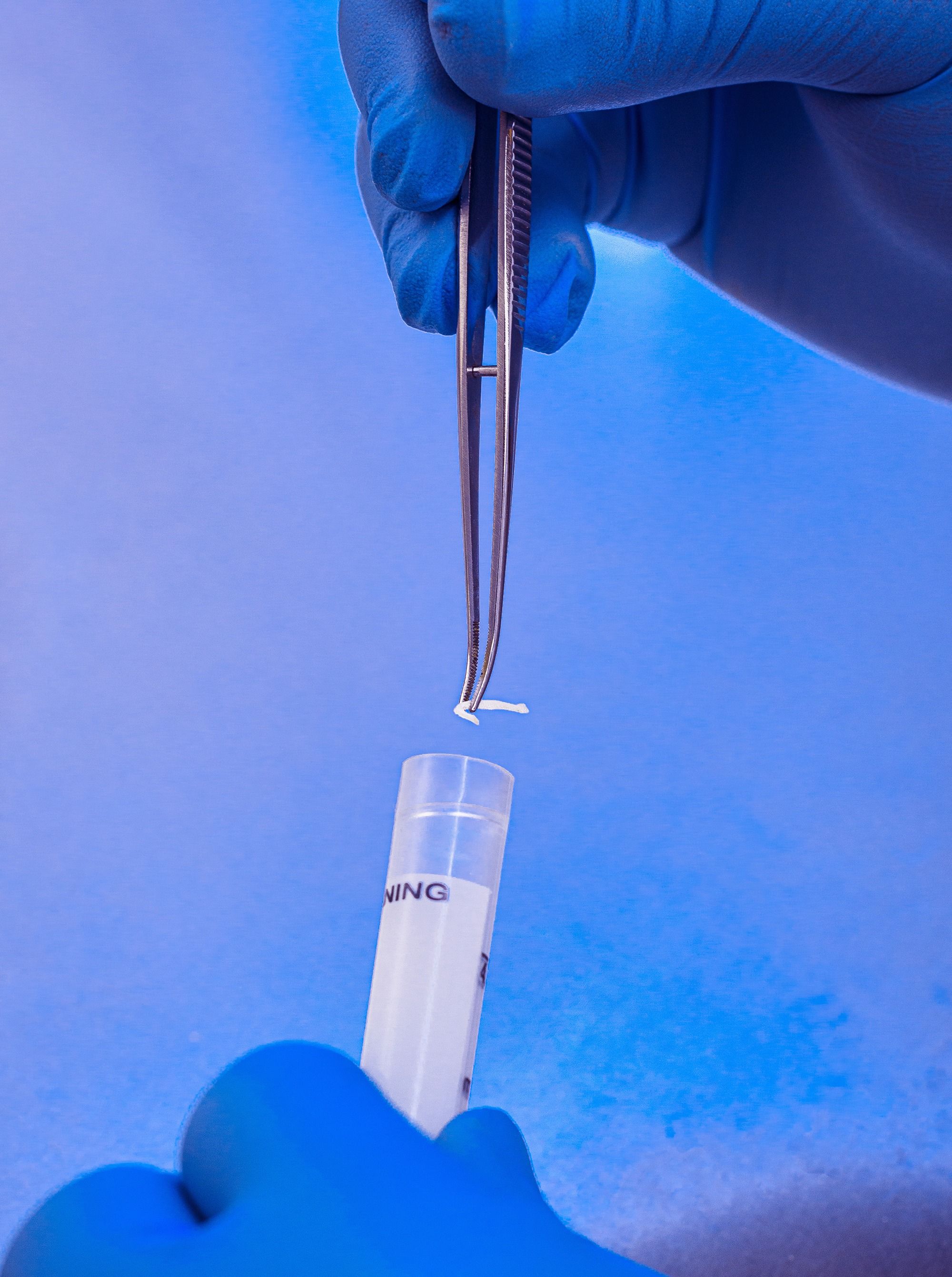Researcher placing white particulate into a test tube