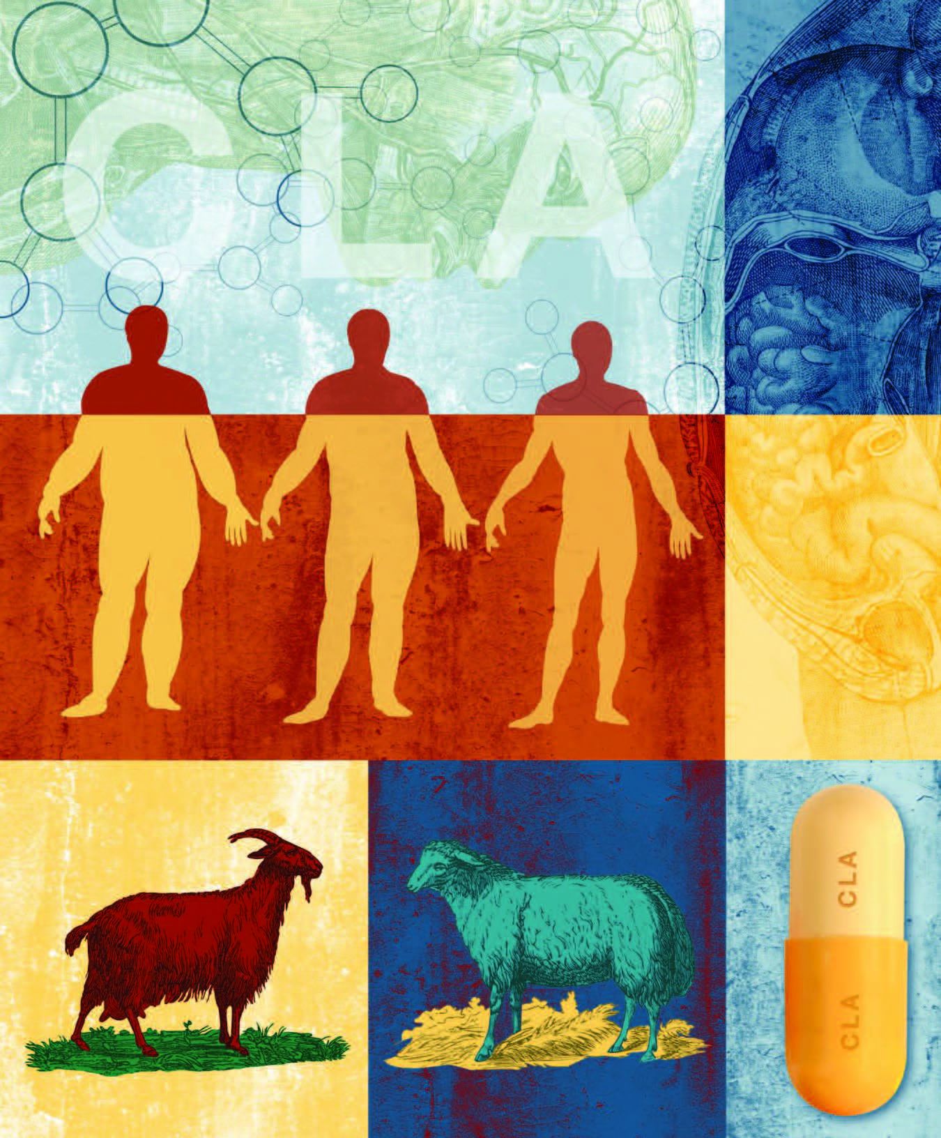 Cover of UNCG's Spring 2006 Research Magazine