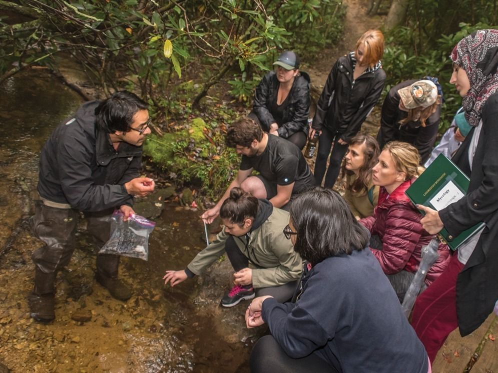 Cech completing field research