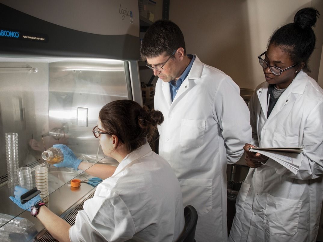 A professor observing a student completing research
