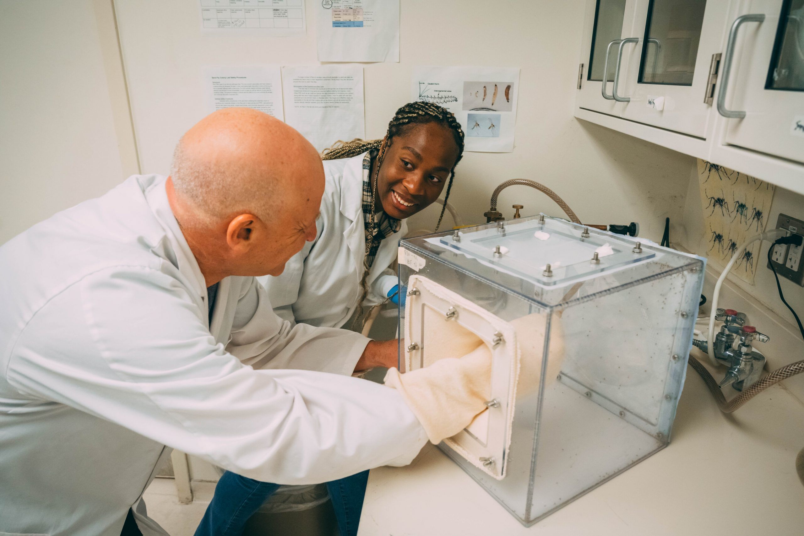 Wasserberg with hand in sand fly colony