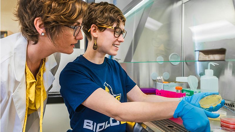 Doctoral student, Megan Damico, wears protective gloves while examining a Petri dish. 