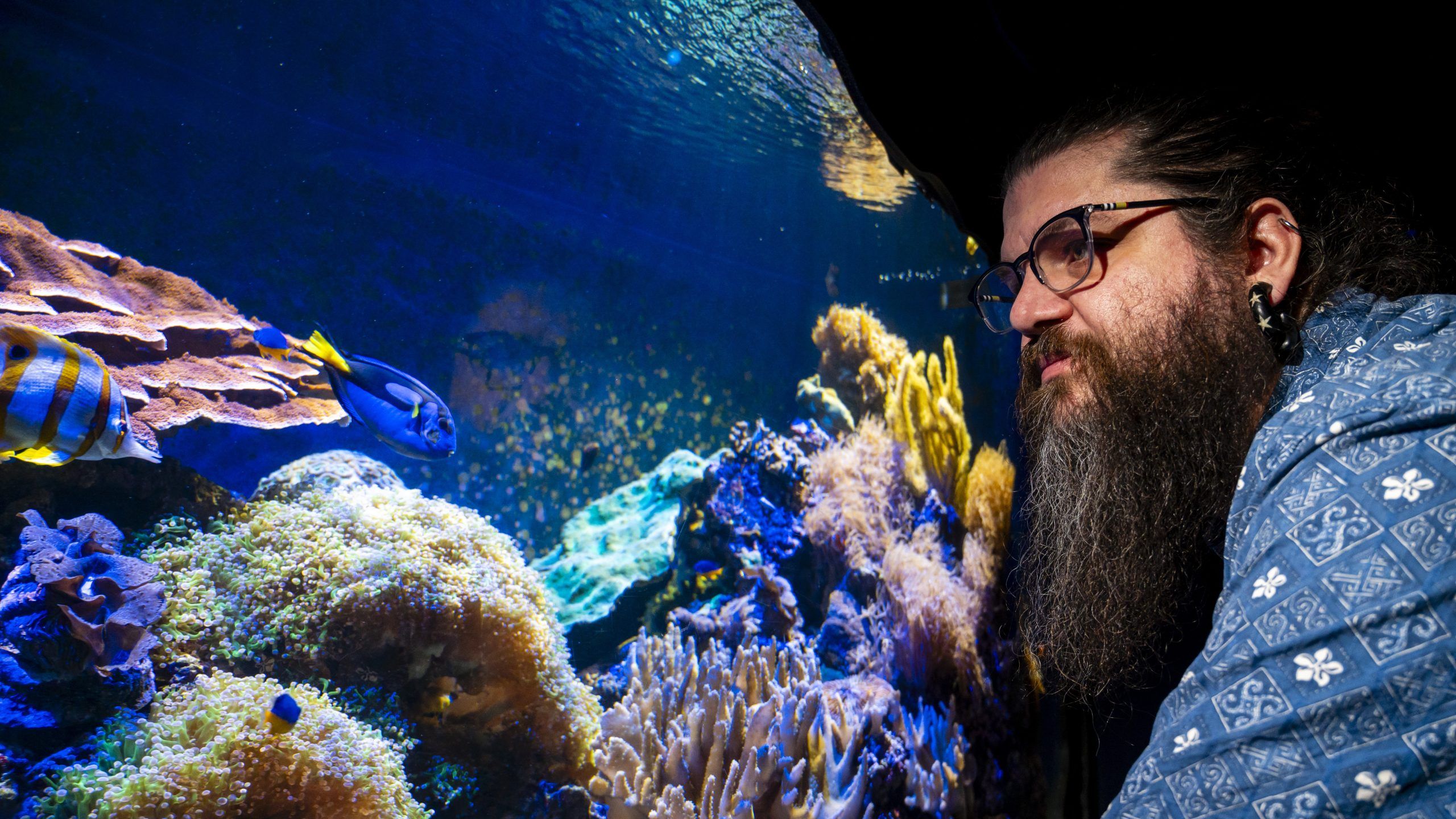 Dr. Derek Skillings peers into a coral reef tank