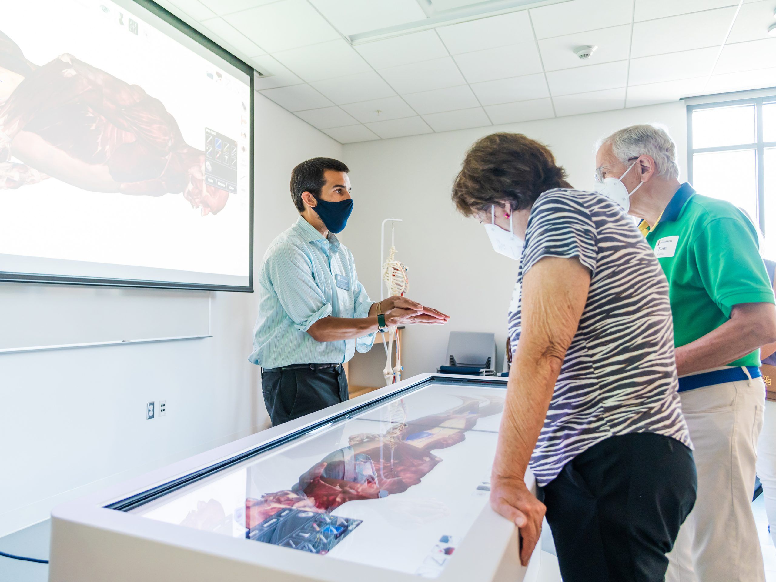 Two people observing a virtual human body