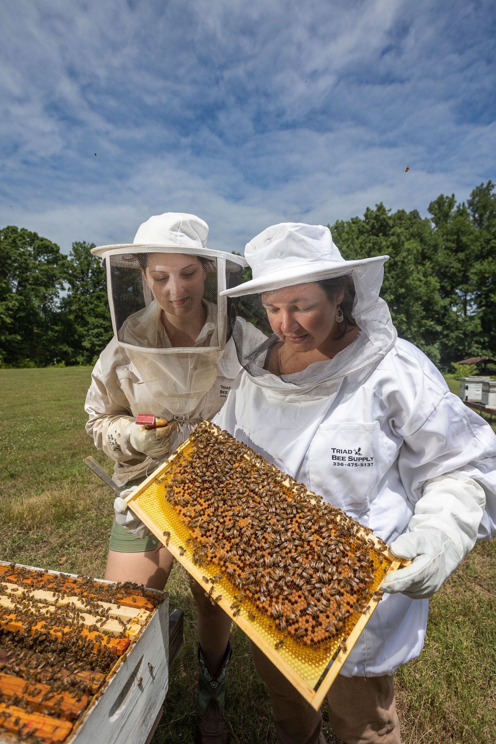 Synder and Wagoner examining a bee hive