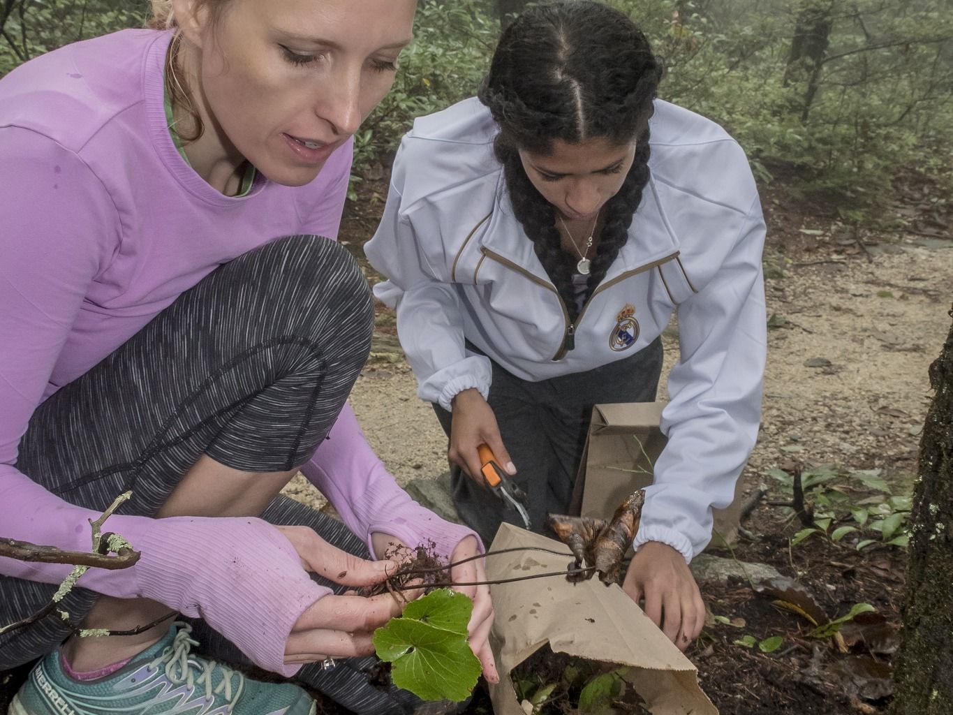 Researches collecting fungi samples in the field