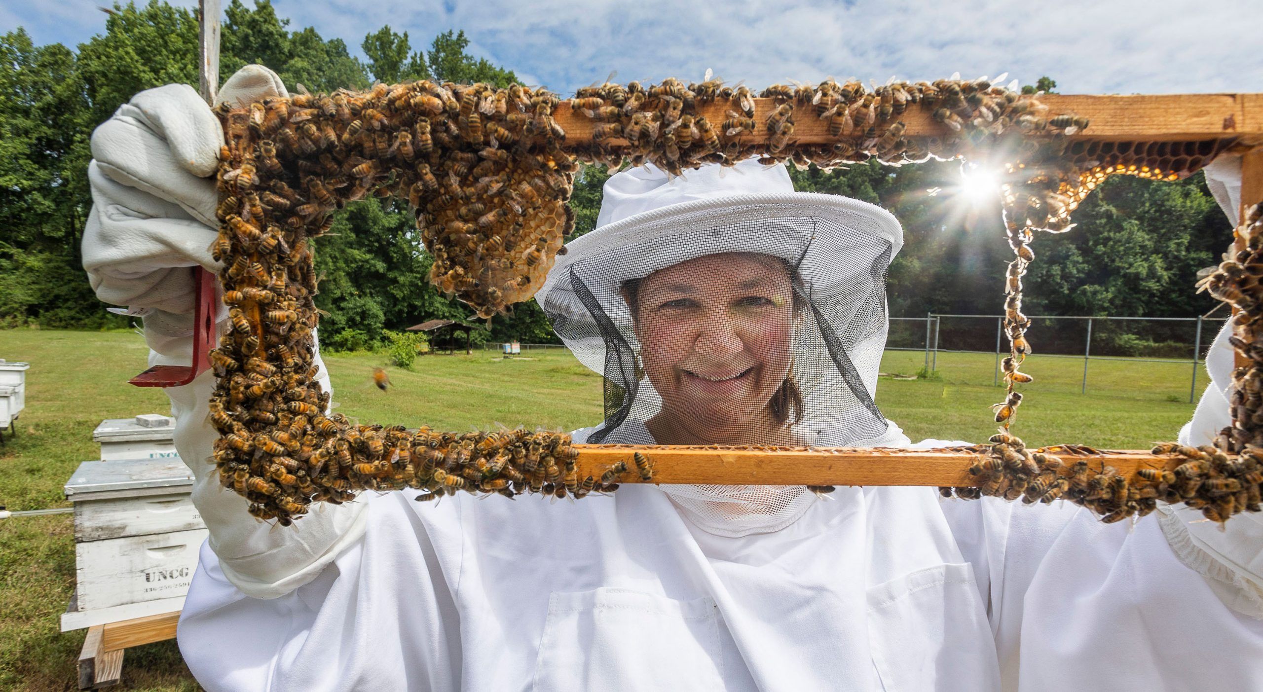 Dr. Wagoner in a beekeeper suit holding a frame covered in bees. 