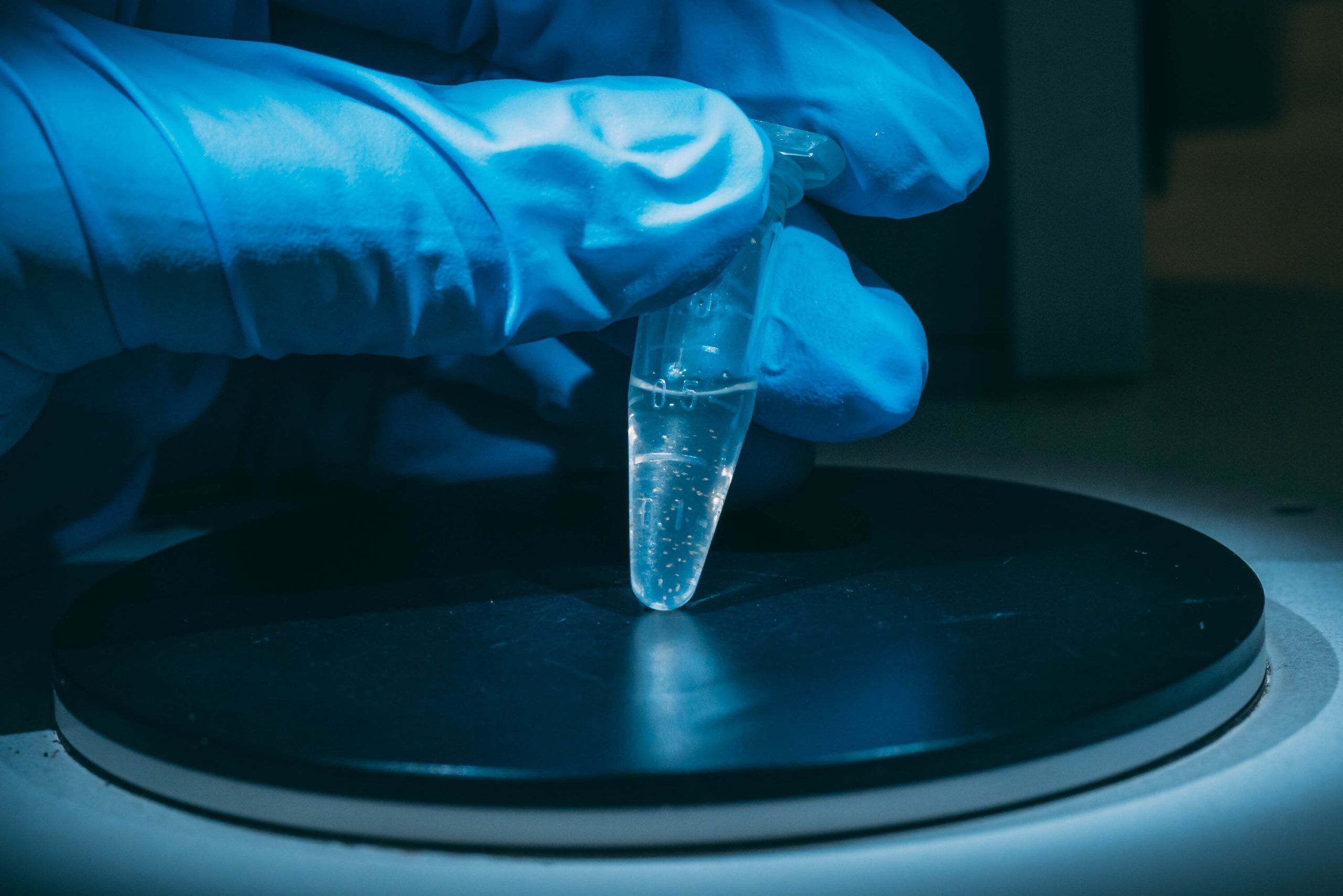 A gloved hand holding a tube of clear liquid
