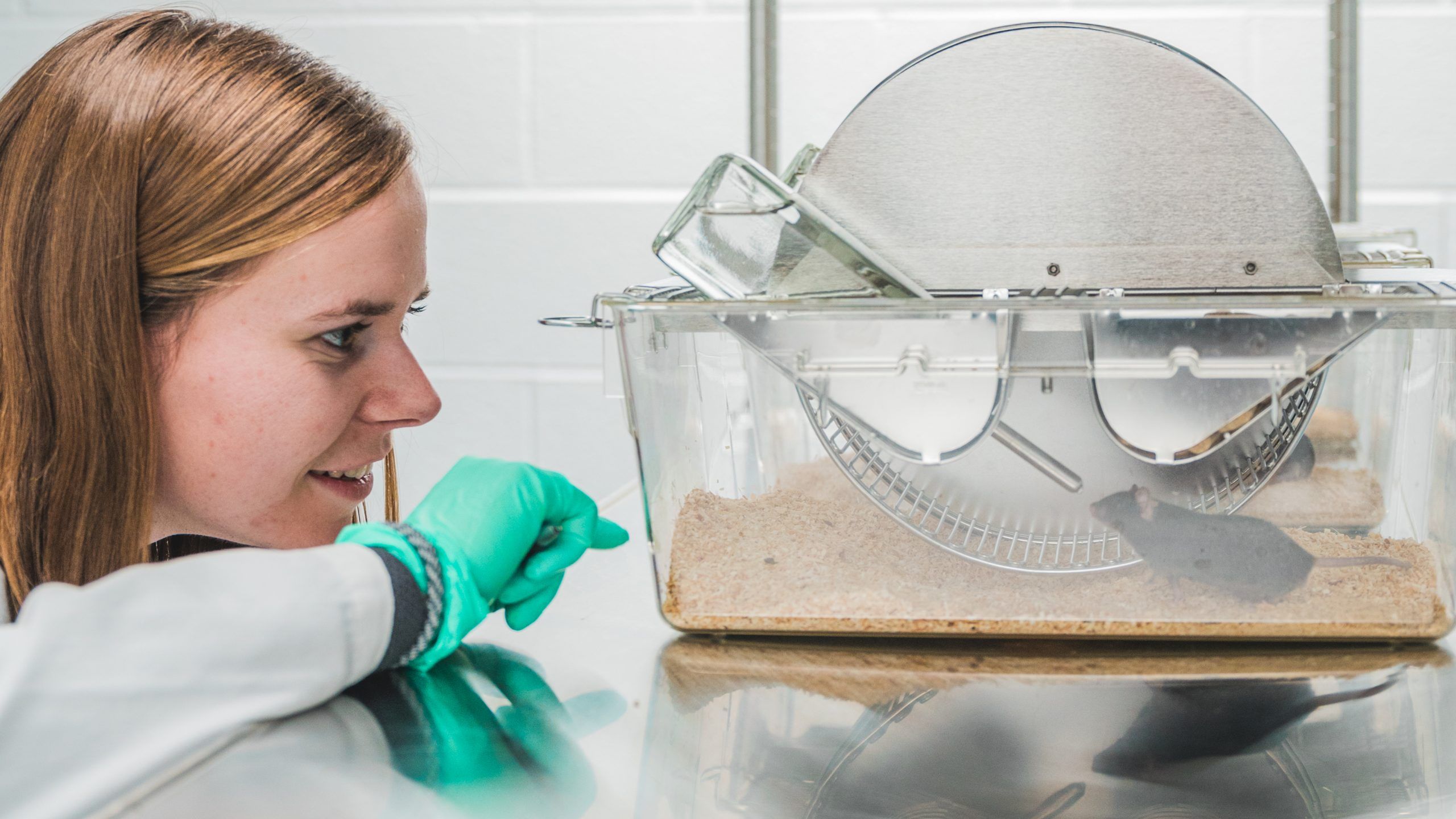 Doctoral student, Louisa Tichy, wearing a lab coat, examines a mouse in a cage.