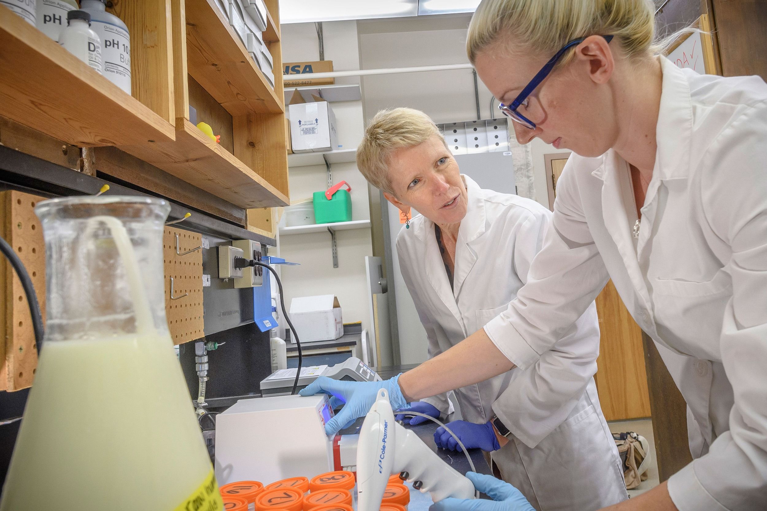 Dr. Maryanne Perrin talks to a student working with her in the lab