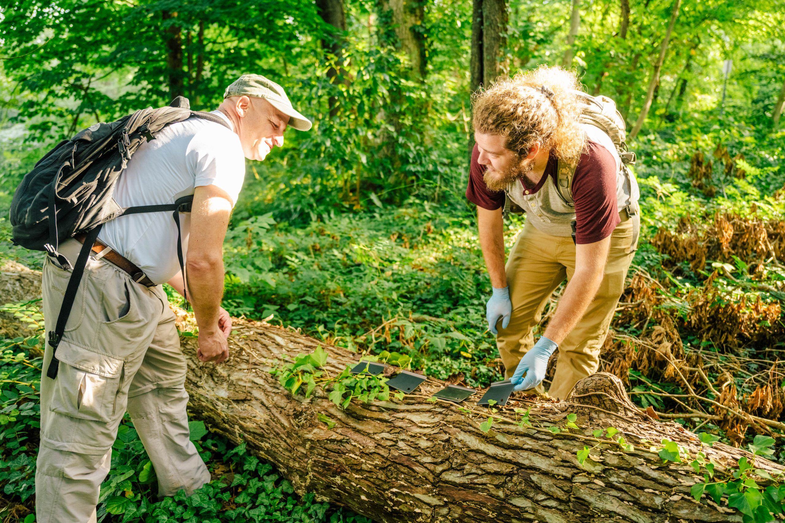 Wasserberg and mentee examining a fallen tree
