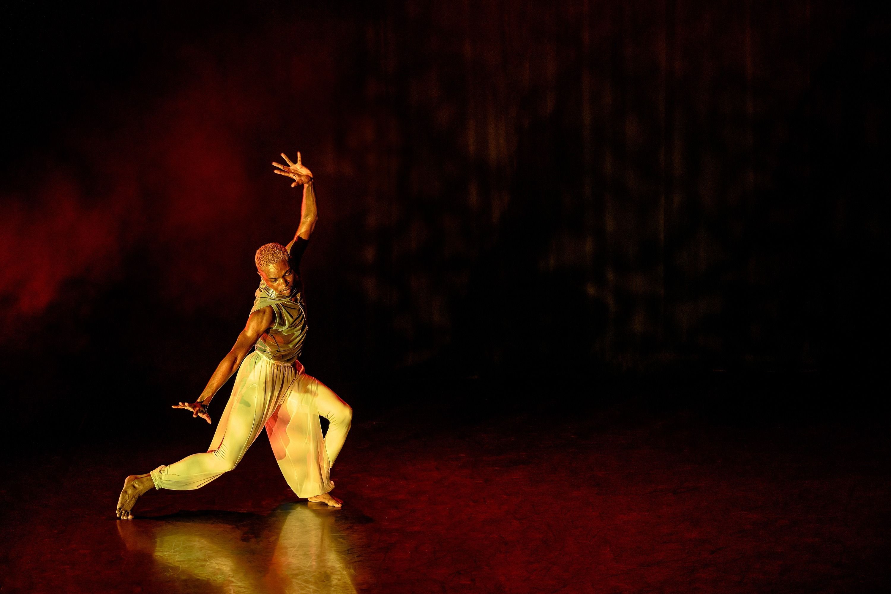 Hawkains with one hand up in air