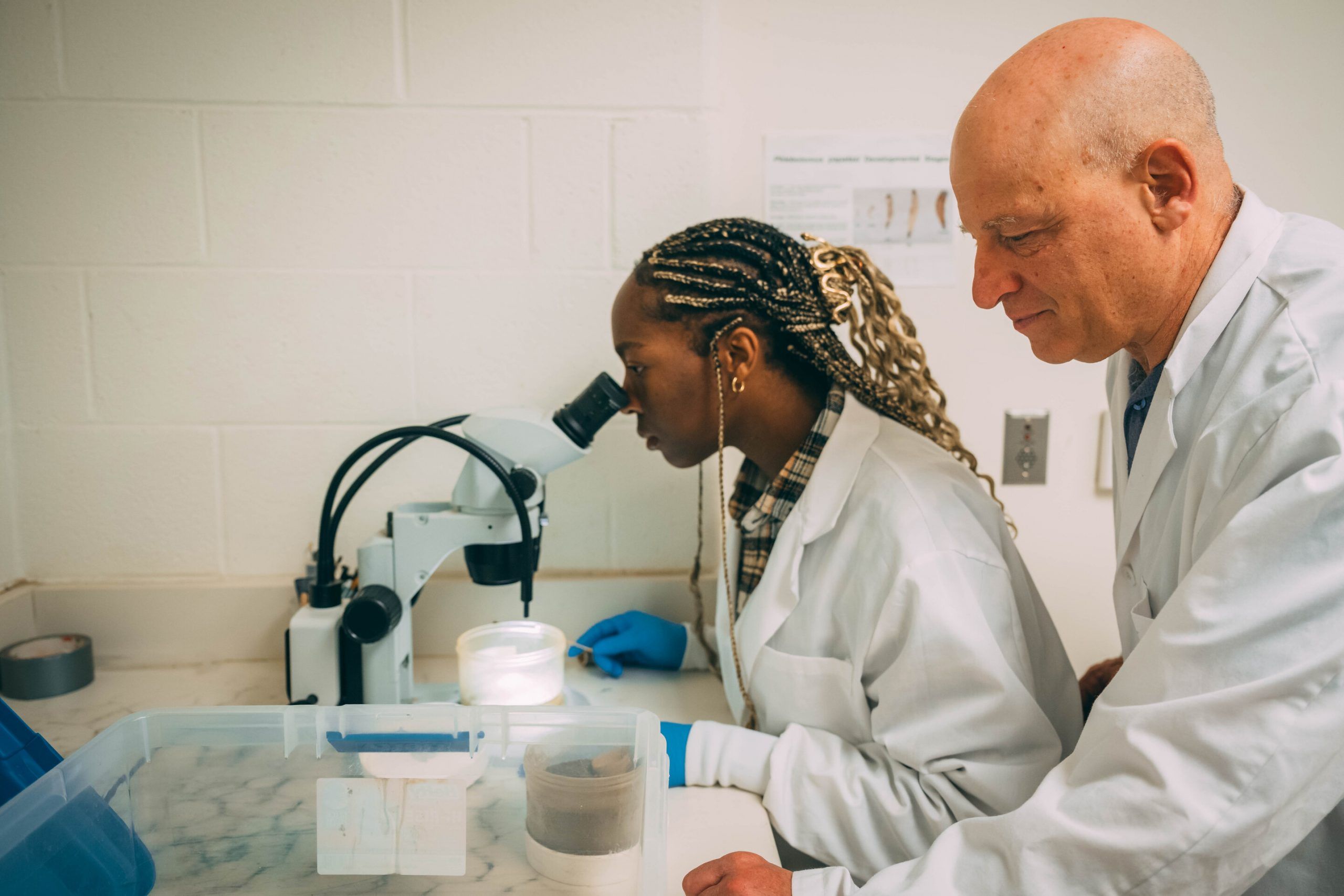 Akabueze looking at sand flies with microscope while Wasserberg observes