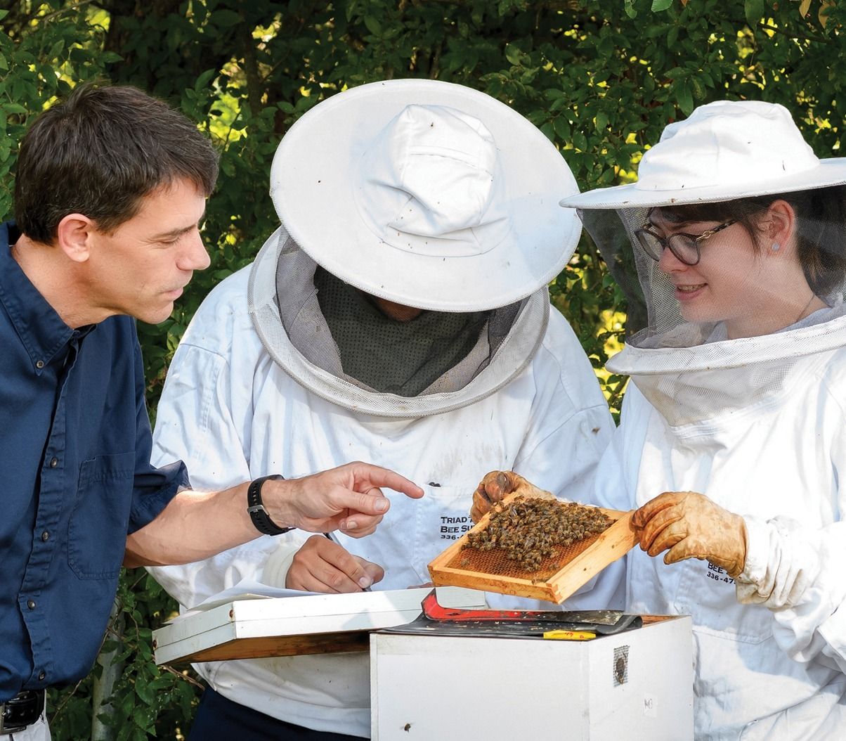 Rueppell and undergraduate researches assess a queen bee