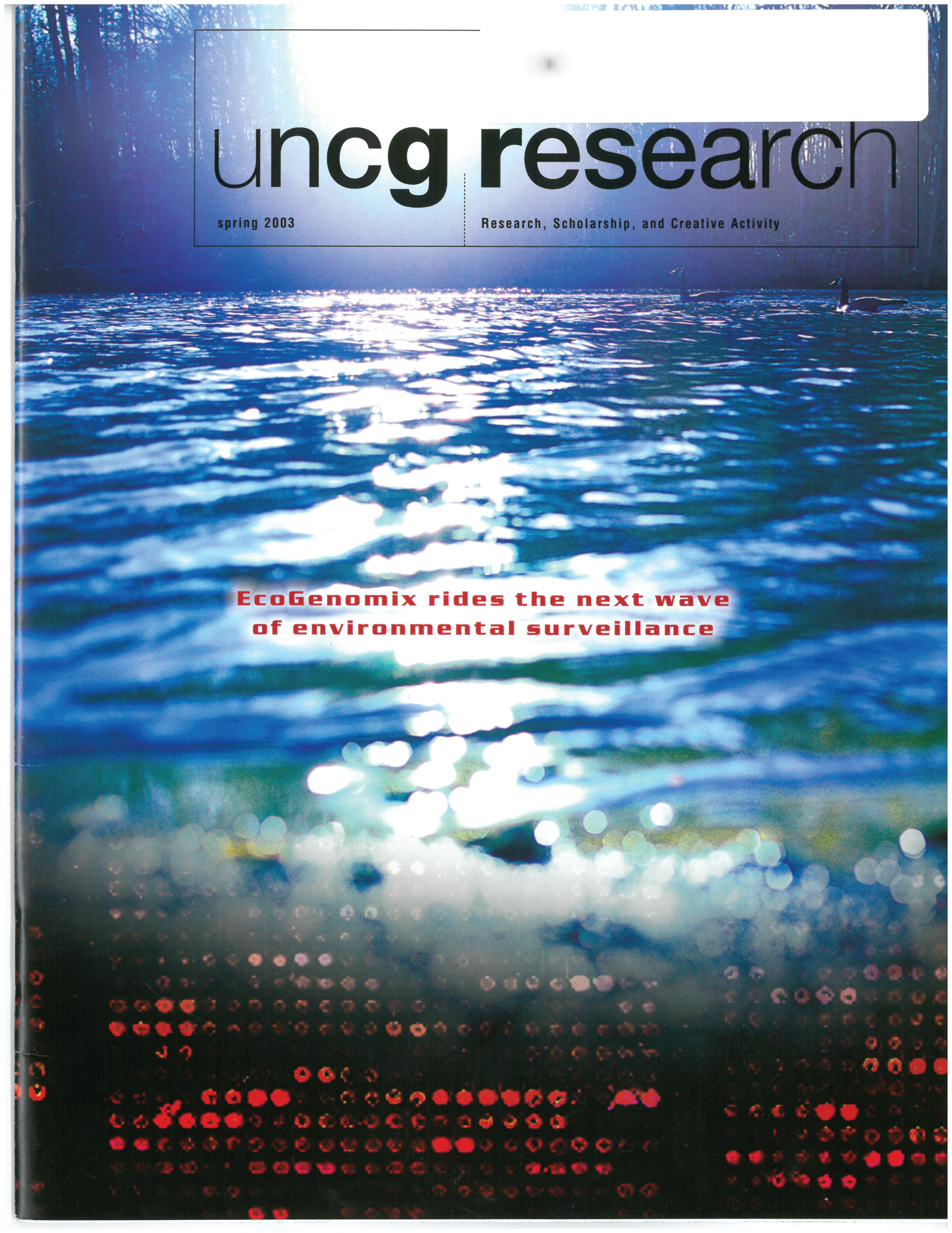 UNCG Research 2003