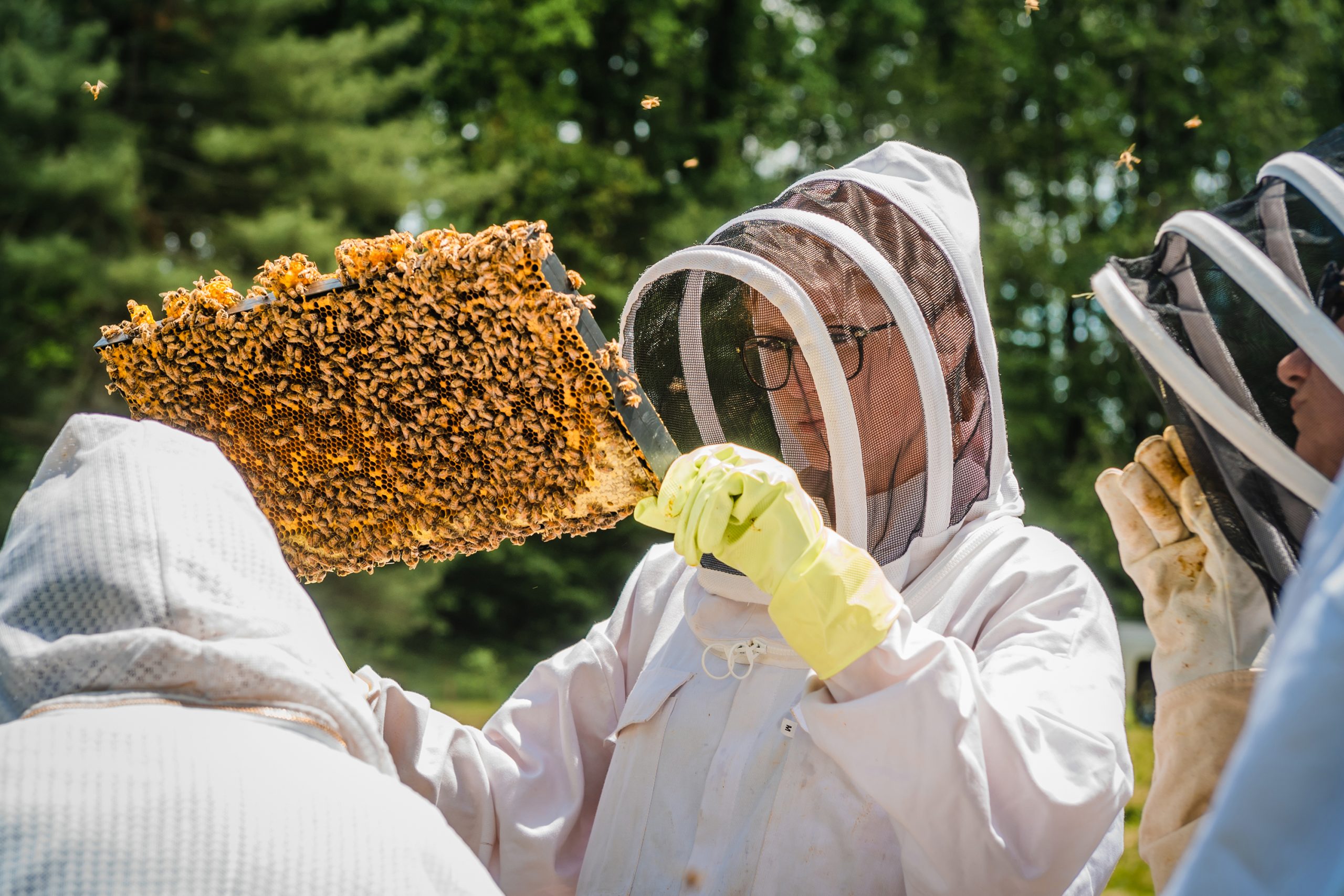 A woman in beekeeping gear holds a beehive covered in bees