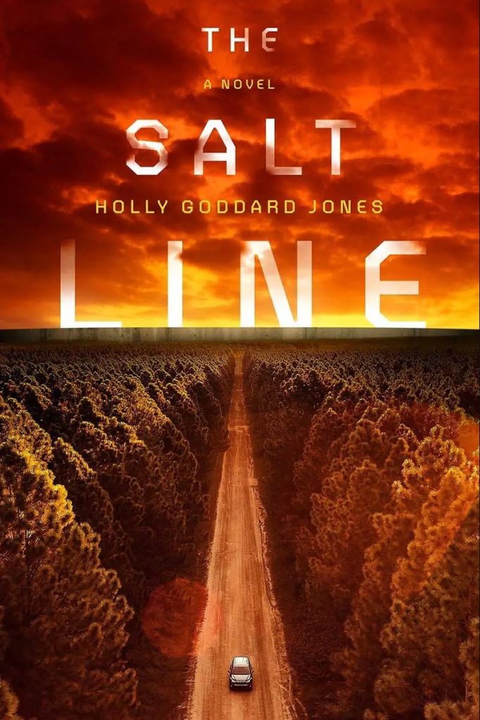 book cover of "The Salt Line" by Holly Goddard Jones