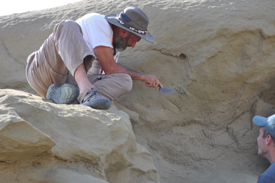 paleontologist at a dig site